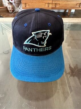 Panthers Kids Black and Blue Baseball Cap